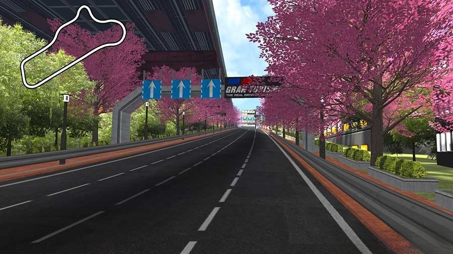 Special Stage Route 5